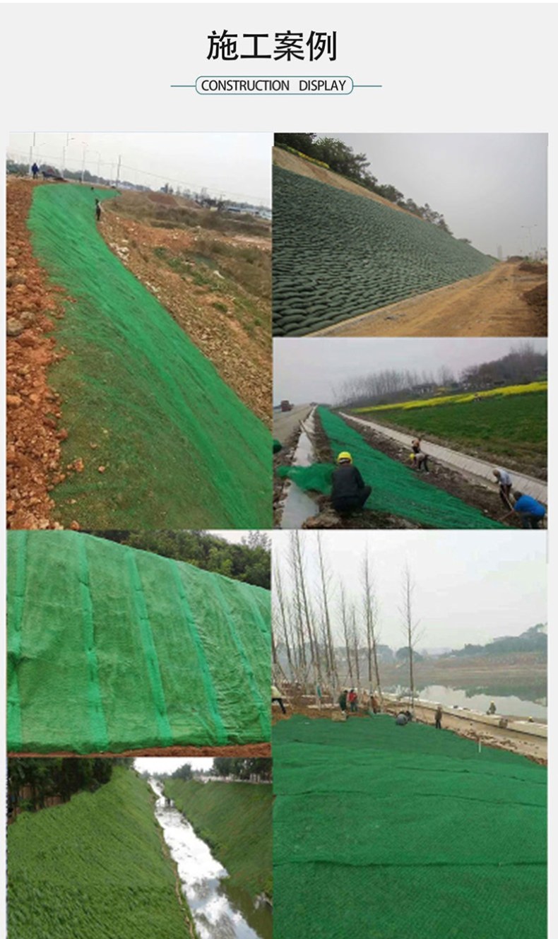 Tenglu Road Slope Spraying Greening 3D Vegetation Net Manufacturer Green Plastic Geonet Pad EM3