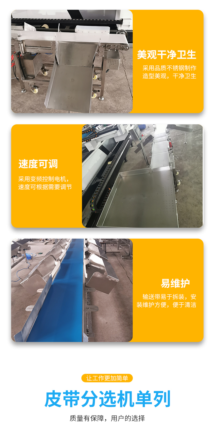 Stainless steel belt sorting machine Yellow croaker and pomfret sorting machine Saint Mary fruit Yangmei sorting equipment