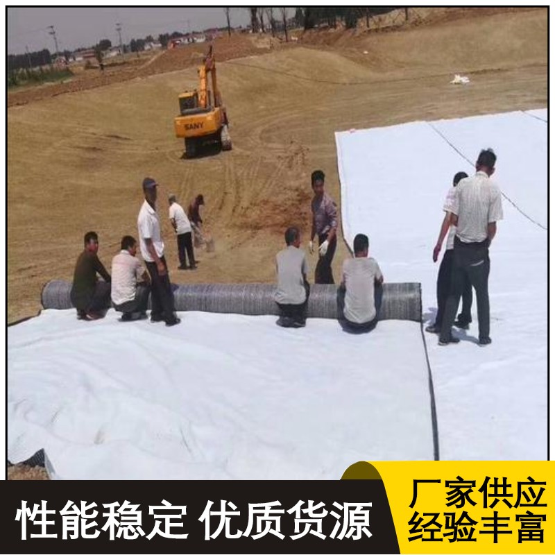 Strengthening and Protection of Agricultural Irrigation Canal with Composite Geomembrane: Two Clothes and One Membrane