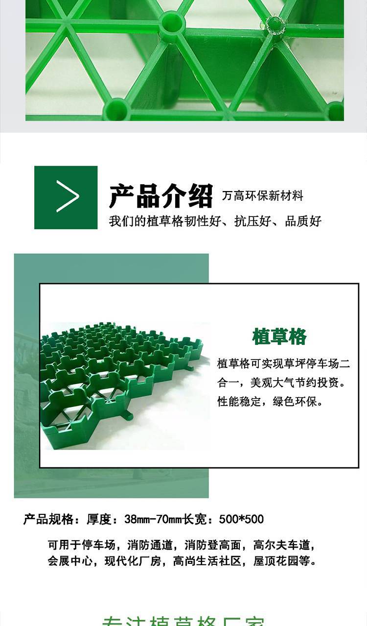 Wangao Golf Lane PE Lawn Plastic Mesh DN40 High Grass Planting Grid Factory Green Grid Pad