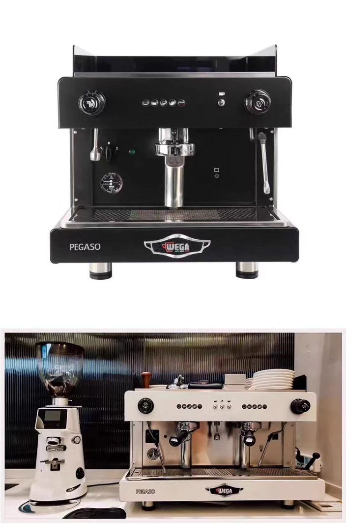 WEGA PEGASO Picasso Italian Double Head Coffee Machine High Cup Electric Control Semi Automatic Commercial Office Italy