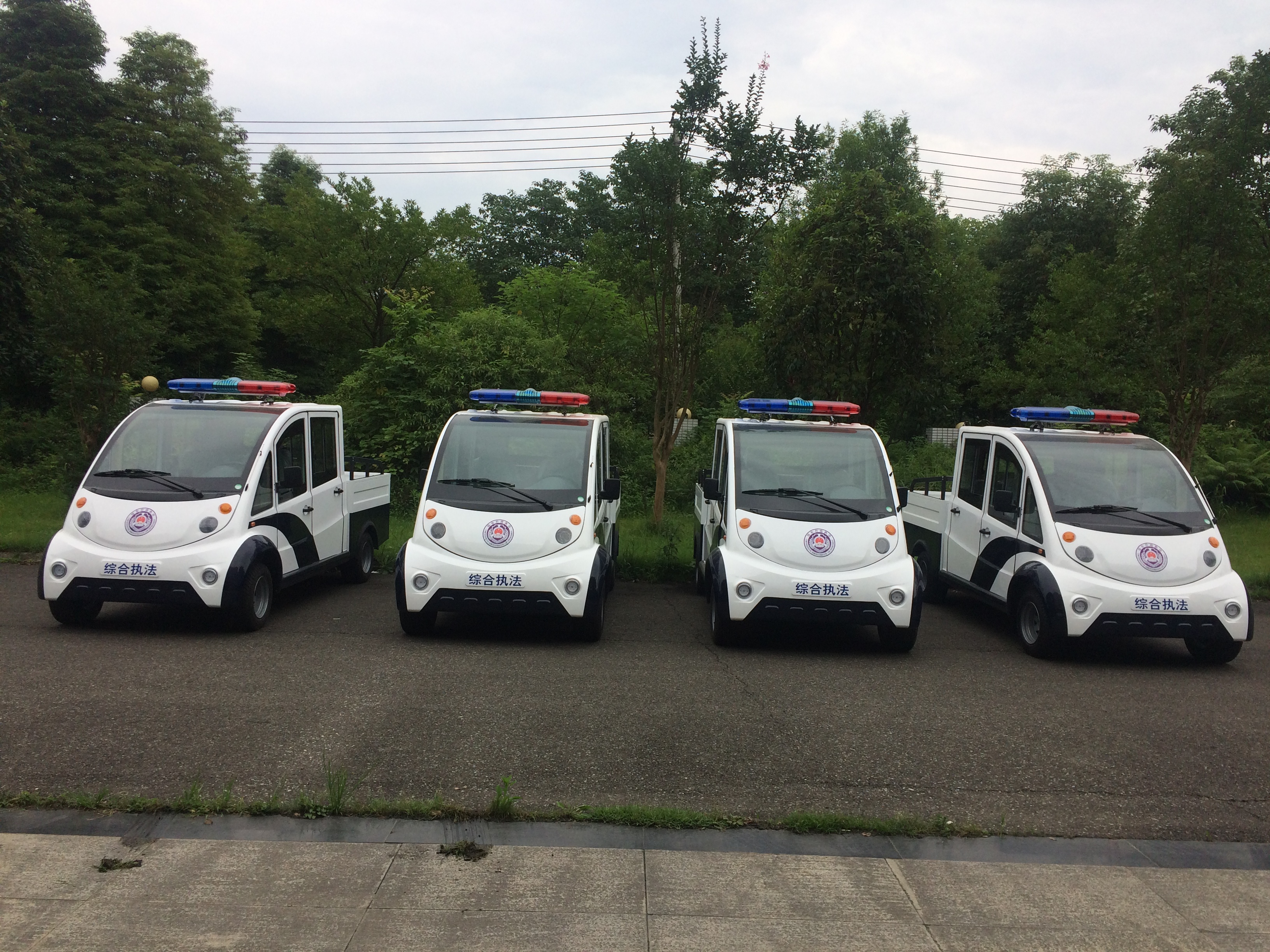 Sichuan Chengdu Mianyang Ya'an New Energy Electric Fire Patrol Vehicle 5-seater Pickup Electric Patrol Vehicle