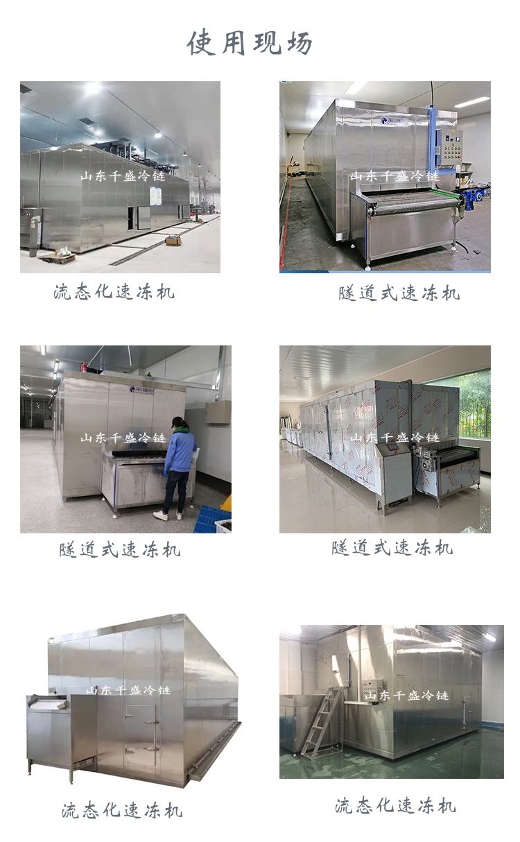 Mushroom quick freezing equipment cleaning and quick freezing assembly line fluidization quick freezing machine tunnel type single freezing machine Qiansheng