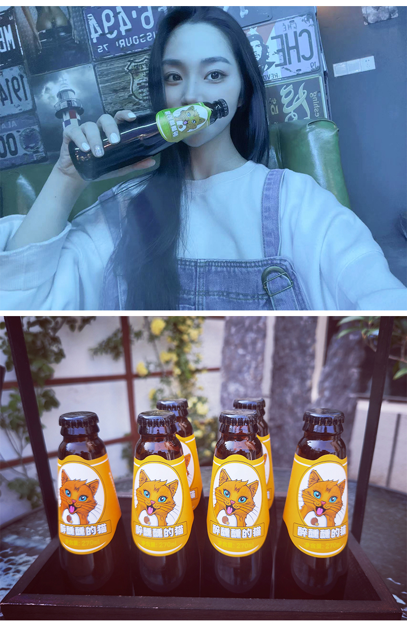 Drunken Cat Series Fruit Flavored Craft Beer 2 Bottles Try Passion Fruit Flavored+Rose Litchi Flavored Fruit Beer