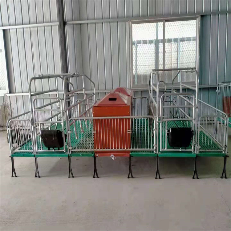 Thickened sow production bed, sow production and protection integrated bed equipment, dual body processing - Wangzhu Livestock