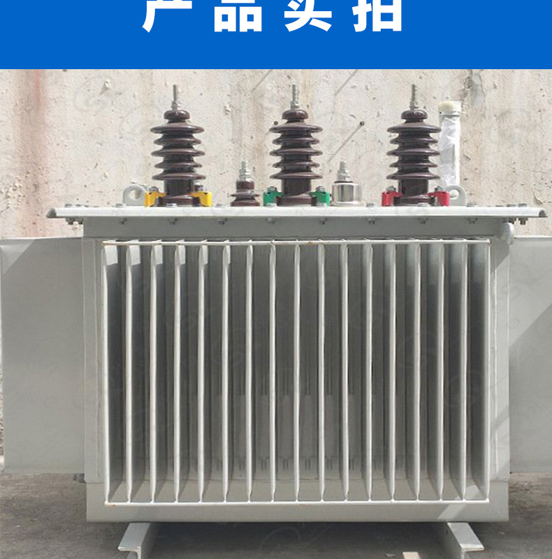 S20-M oil-immersed power transformer industrial all copper three-phase fully enclosed oil transformer