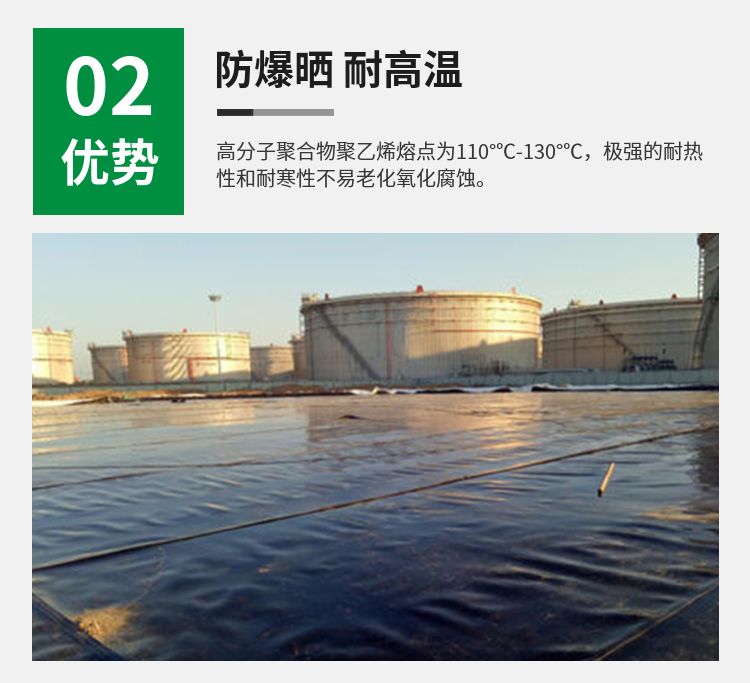 Sentai Environmental Protection Fish Pond Seepage Prevention Film HDPE Geomembrane for Domestic Waste Landfill and Black Film for Pig Farm Biogas Tank