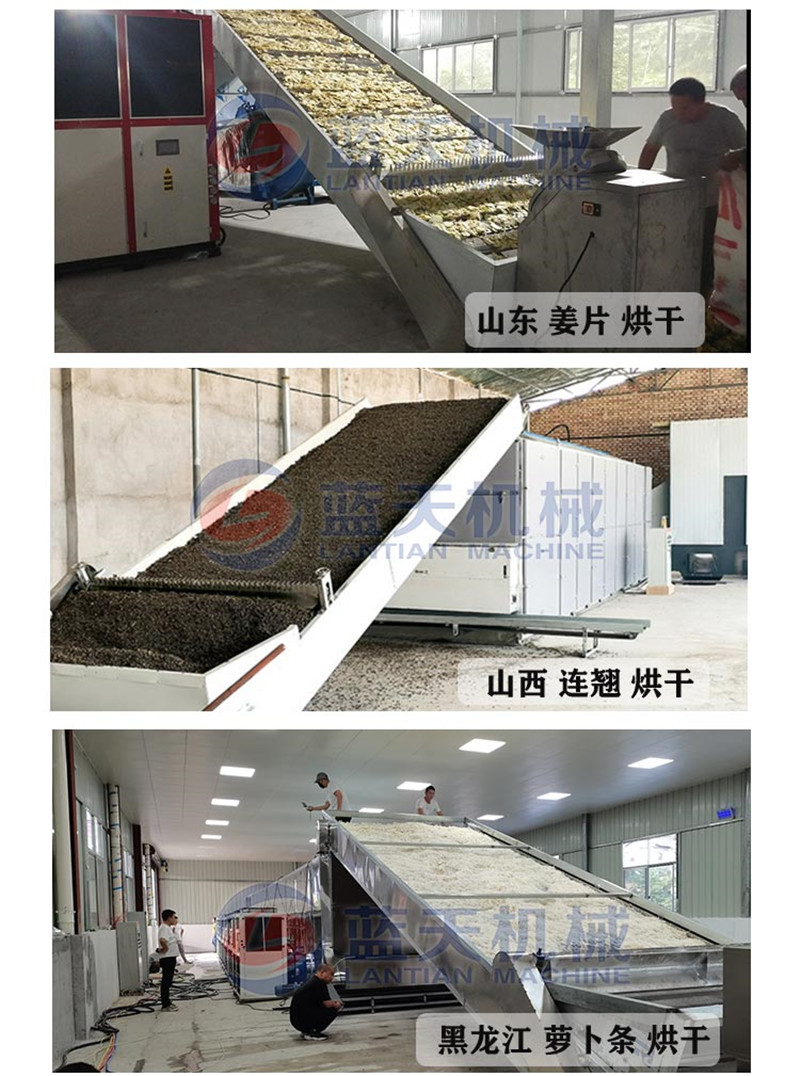 Snow Lotus Fruit Drying Machine Air Energy Chrysanthemum Potato Snow Lotus Potato Ground Ginseng Fruit Drying Room Large Snow Lotus Fruit Drying Equipment