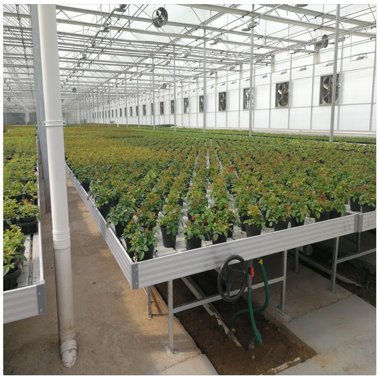 Tailong Flower Seedling Cultivation, Flower Rack Network, Medicinal Material Planting, Corrosion Resistant Seedling Bed Network, Vegetable Galvanized Planting Net Bed Customization