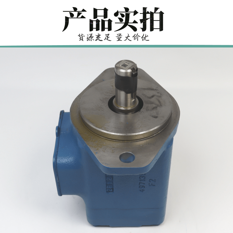 Vane pump 20V8A-1B22R for Eaton Wigs VICKERS injection molding machine