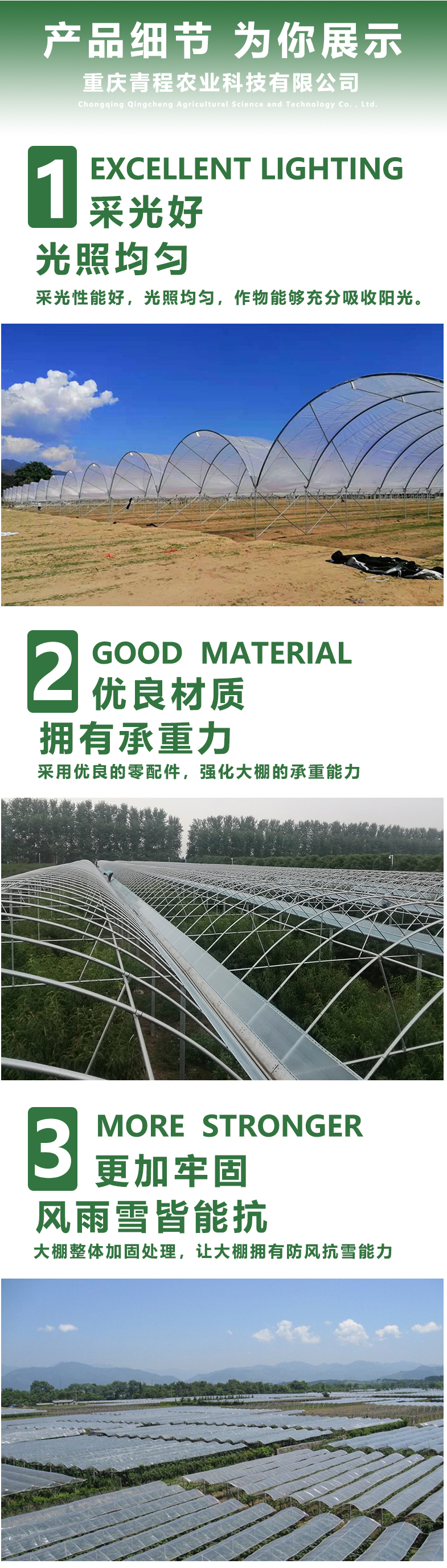 Chongqing Grape Greenhouse Film Arch Greenhouse Planting Blueberry Rain Shelter Processing Factory Greenhouse Materials Qingcheng Agriculture