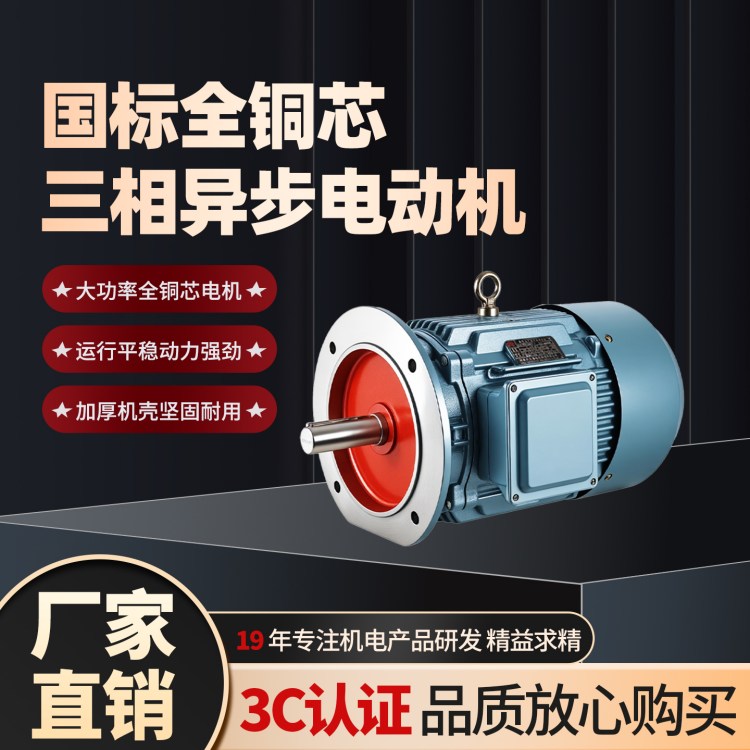 YE3-315S-2铝壳电机三相直流电机 立式异步电动机110KW
