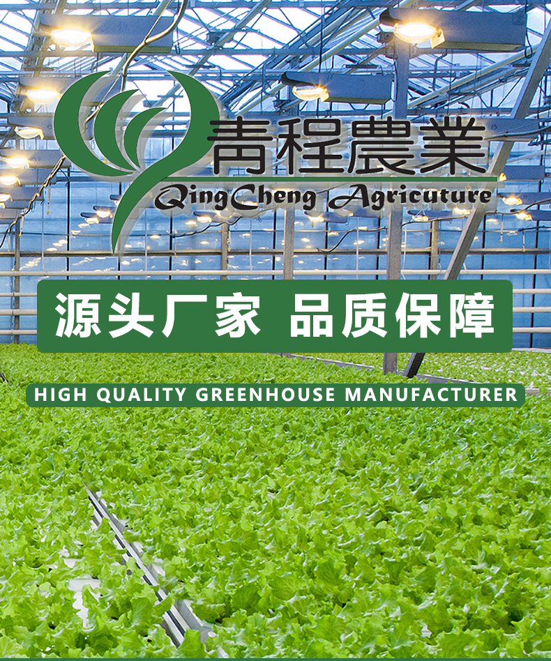 Chongqing Grape Greenhouse Film Arch Greenhouse Planting Blueberry Rain Shelter Processing Factory Greenhouse Materials Qingcheng Agriculture