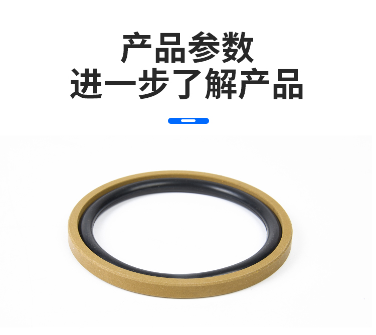 Guangyan hole uses PTFE sealing ring, Gly ring sealing, rotating grid ring, and shaft sealing GSI GSF