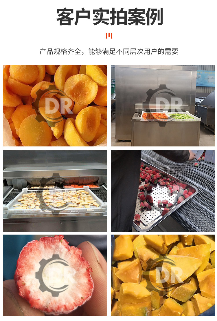 Deren Deep-sea fish quick freezer Salmon low-temperature fresh locking equipment Fried ready to eat packaging frozen