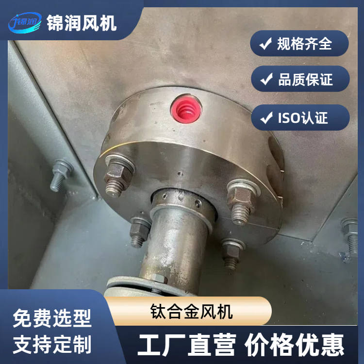 锦润 钛合金风机 镍钛合金化工防腐风机 机械密封零泄露 非标定制