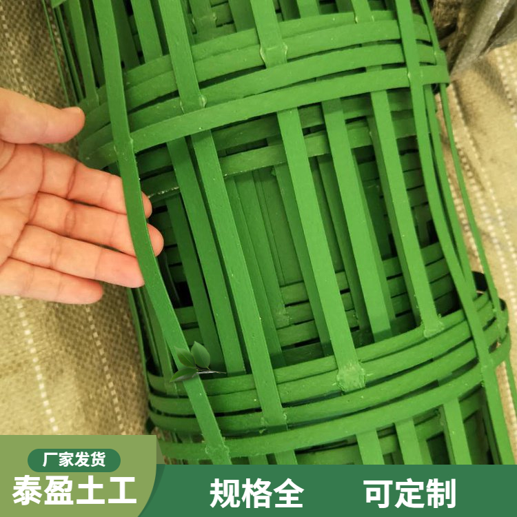 Taiying polypropylene slope greening climbing net, green climbing net, acid and alkali resistant, anti-aging