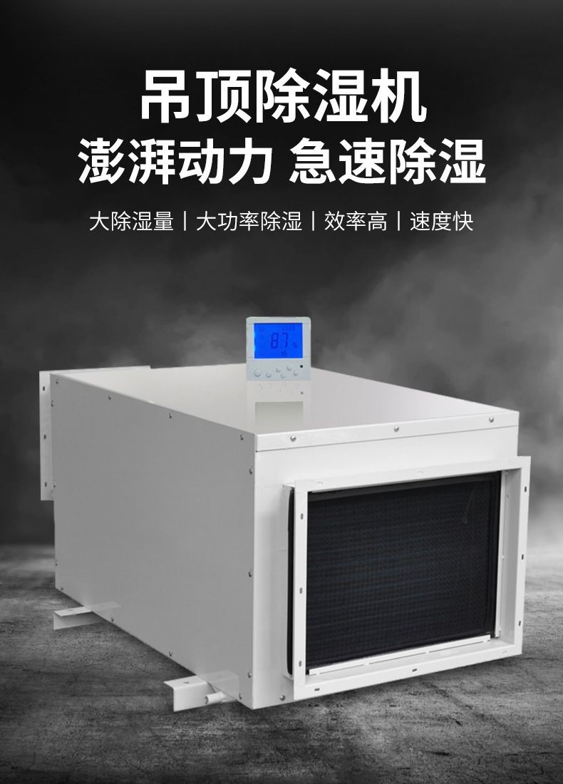 Ruiwang suspended ceiling dehumidifier source factory warehouse basement garage villa mezzanine moisture-proof drying dehumidifier