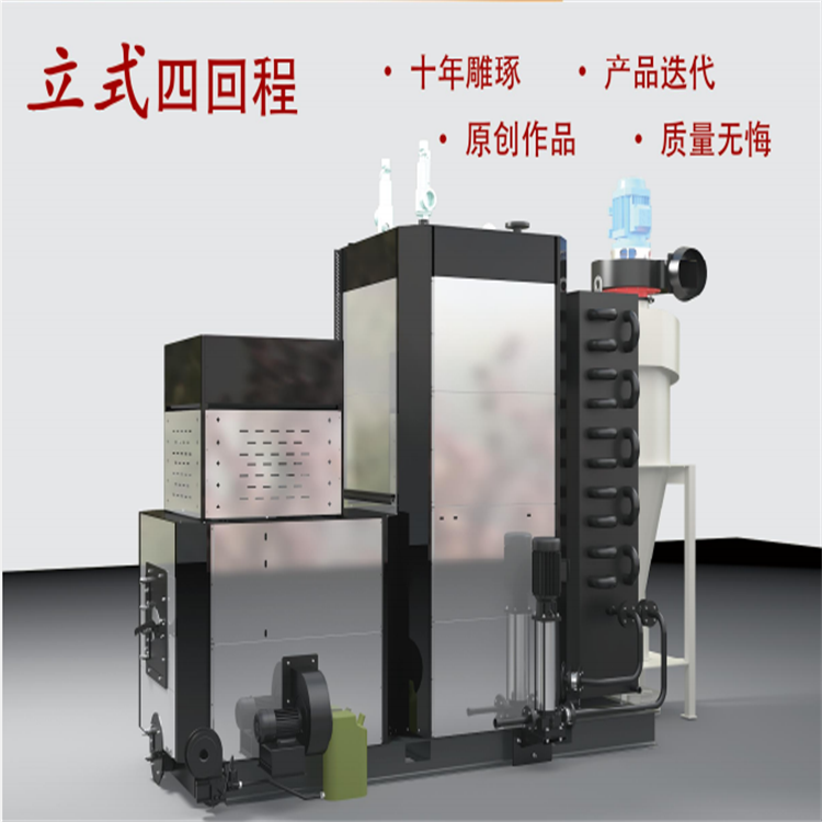 Biomass 0.5T steam generator Longsheng customized boiler cement curing and drying equipment full-automatic Steam engine