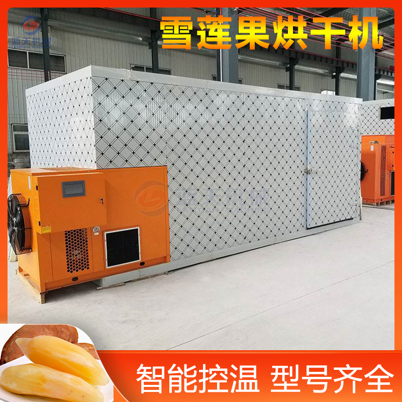 Snow Lotus Fruit Drying Machine Air Energy Chrysanthemum Potato Snow Lotus Potato Ground Ginseng Fruit Drying Room Large Snow Lotus Fruit Drying Equipment