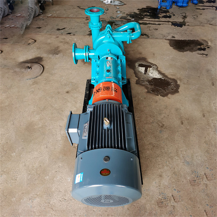 65ZJW-II Filter Press Feed Pump Coal Slurry Treatment Horizontal Double Impeller Booster Impurity Mud Feed Pump