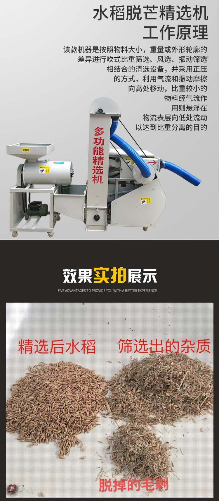 Sunflower Selection Machine Equipment Multifunctional Wheat Selection Machine Corn Threshing Selection Machine