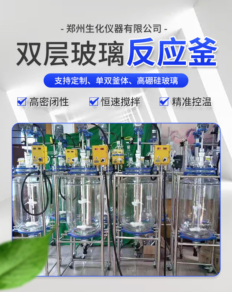 Biochemical instrument SF series laboratory use continuous working lifting double glass reactor