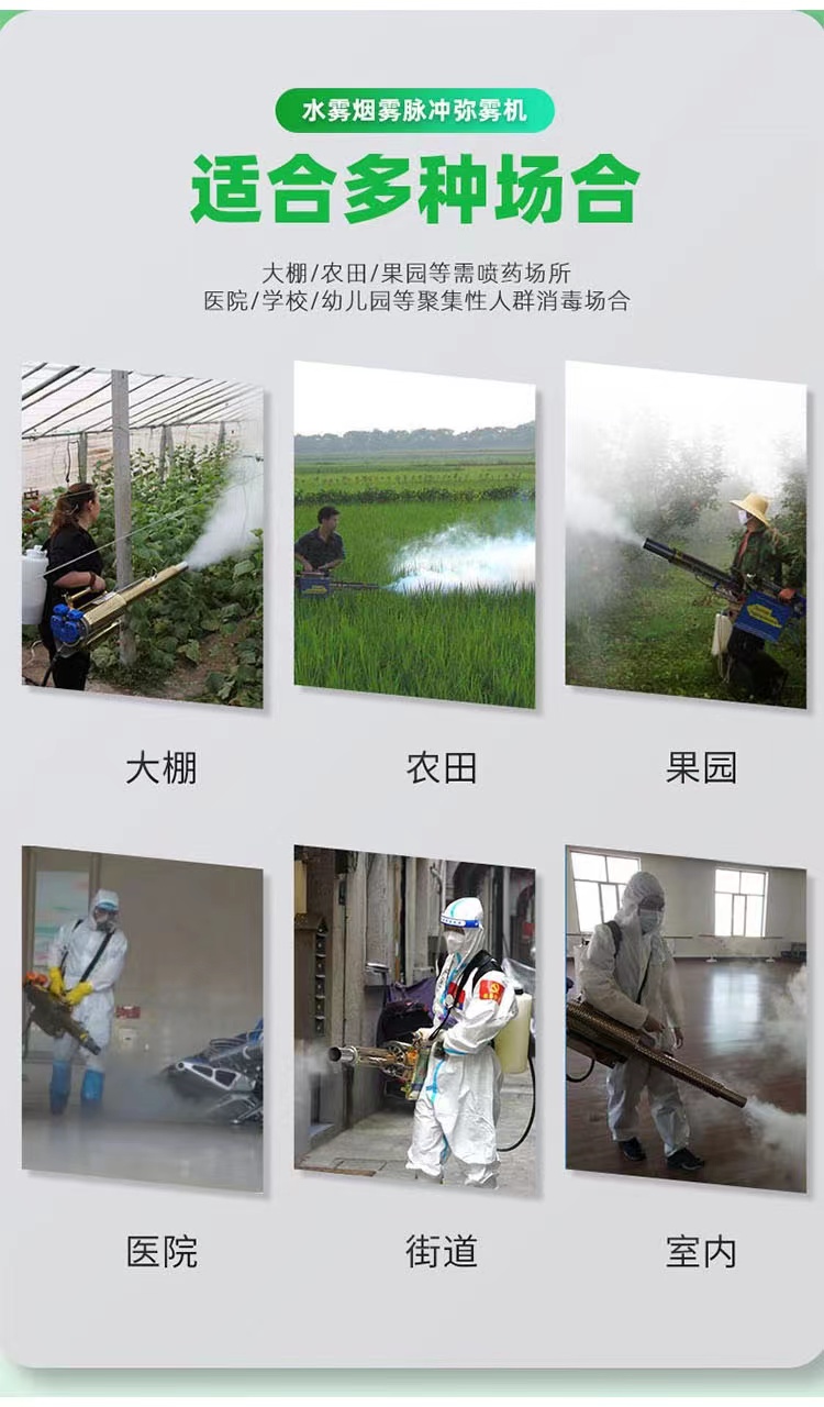 Huinuo Farm Disinfection Pulse Smoke Machine Corn Field Insecticide Gasoline Dispenser Smoke Water Mist Dual Purpose Machine