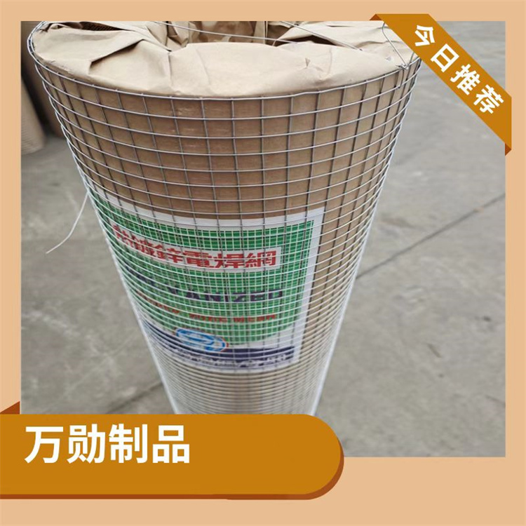 Wanxun Building Construction Wall Plastering Welding Mesh Galvanized Steel Wire Mesh Iron Wire Mesh Factory Mesh 12.7 Strength Factory