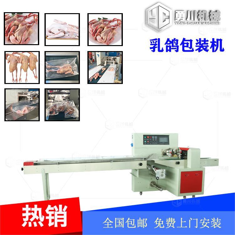 Iced Fresh Chicken Packaging Machine Model Yongchuan 600 Fresh Goose Bagging Machine Frozen Pigeon Preservation Packaging Equipment