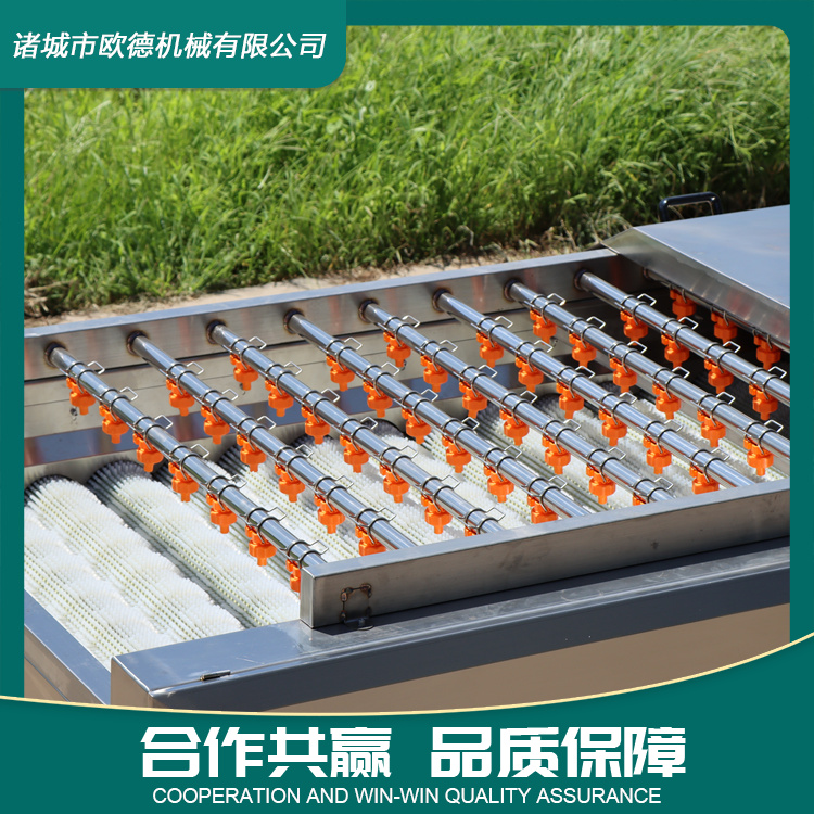 Oyster parallel hair roller cleaning machine, fully automatic seafood cleaning equipment, spraying up and down to remove mud