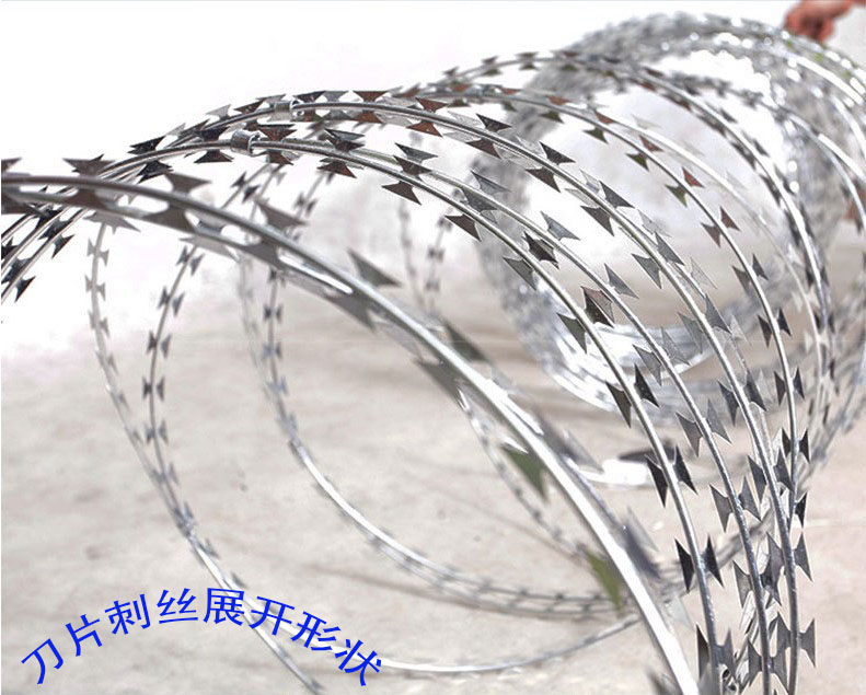 Hot dip galvanized mesh highway anti climbing blade stab rope A stab wire rolling cage BTO-22 Keyan metal