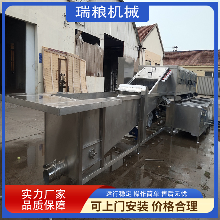 Ruiliang Ginger Drying Machine Manufacturer Washing Ginger Machine Fresh Ginger Old Ginger Cleaning and Processing Equipment