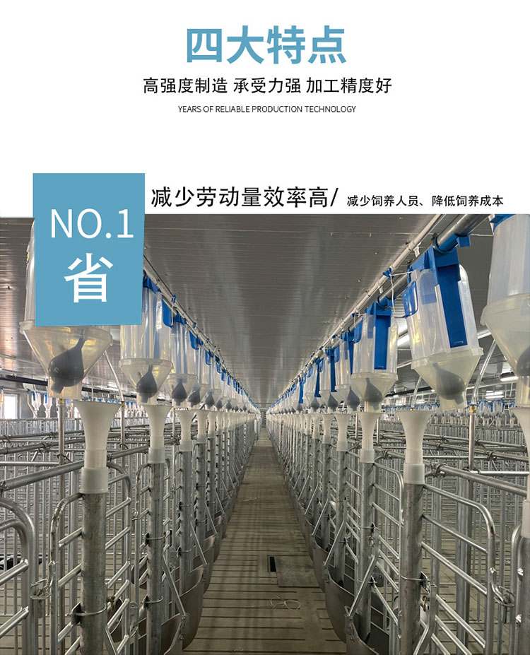 Special equipment for large-scale pig farms - Fully automated feeding line for pigs - Automatic feeding system for pig farms