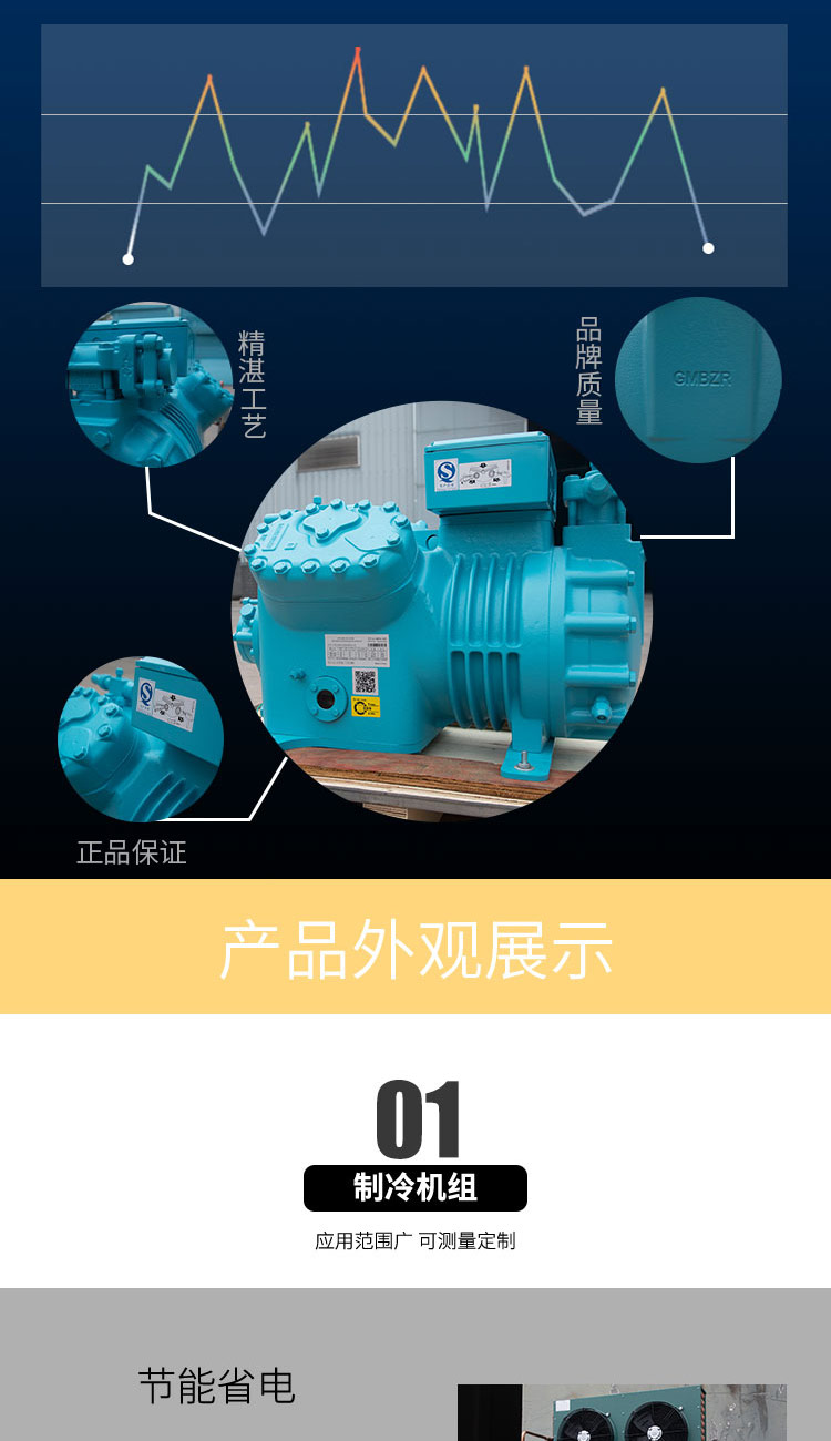 Bizer Refrigeration Compressor 6FE-50 6F-50.2 Cold Storage Refrigeration Machine Freezing and Preservation Storage