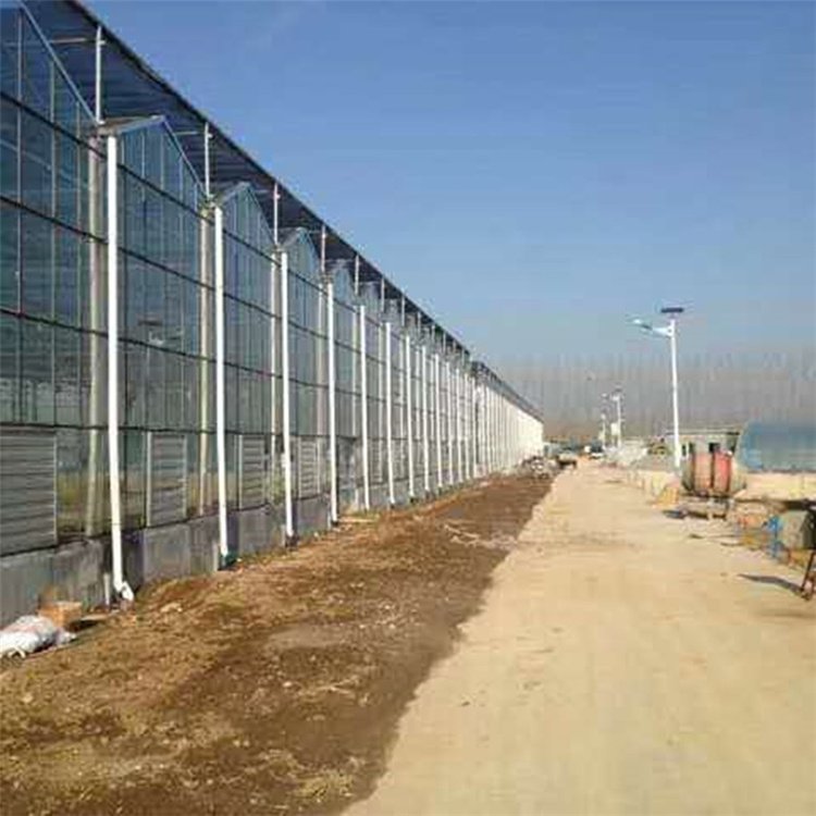湖北黄冈麻城连栋大棚配件名称蔬菜大棚管橘子连体大棚市场报价