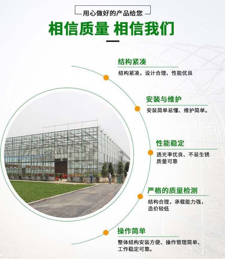 Customized film multi-span greenhouse with large lighting area for fruit and vegetable farming in greenhouses