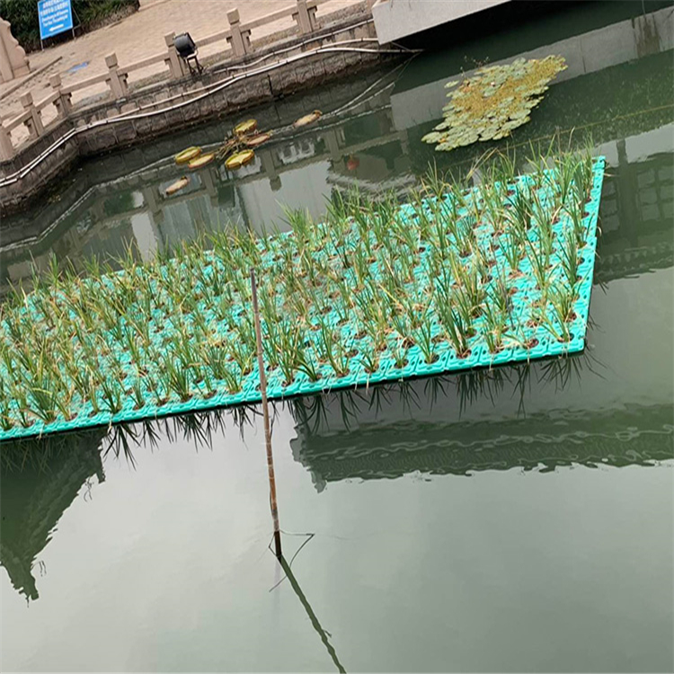 河道生态浮床水上植物种植浮板复合纤维浮动湿地 人工浮岛安装简便约20.00元(图8)