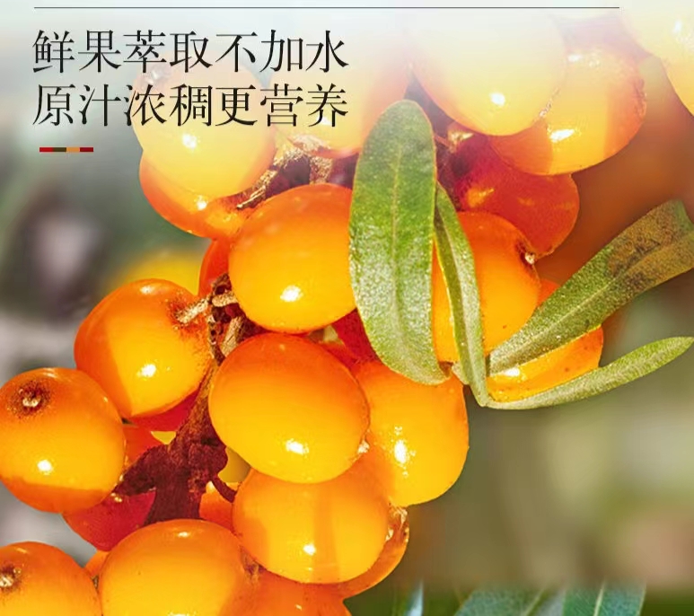 Seabuckthorn puree, concentrated juice, fresh fruit press, 50ml packaging, customized OEM processing