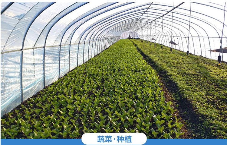 Shuaifeng manufacturer provides grape specific greenhouse film, polyethylene film, arch greenhouse film, white and transparent