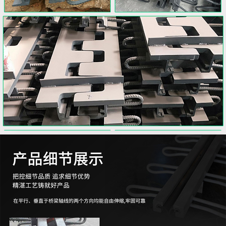 D60 Expansion Device GQF-C Type D80 Qingtian Road Bridge Modular Bridge Expansion Joint