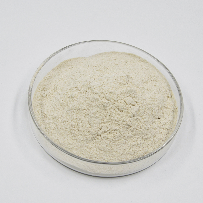 Supply of BYK NT-10 high-quality powder rheological agent adhesive system for improving flow resistance and hydrophobicity