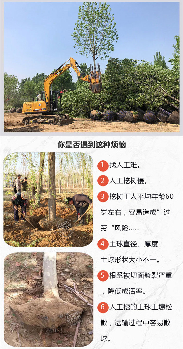 Large shovel tree excavator with soil ball and compact structure for continuous operation