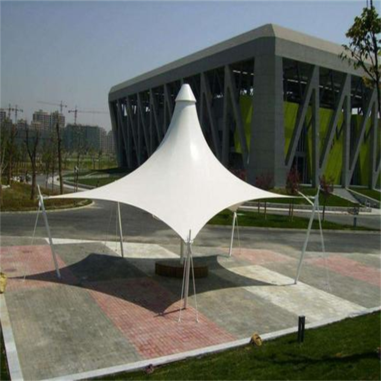 Yanyu PVDF1050g construction sunshade film material processing and installation Automobile shed film material installation