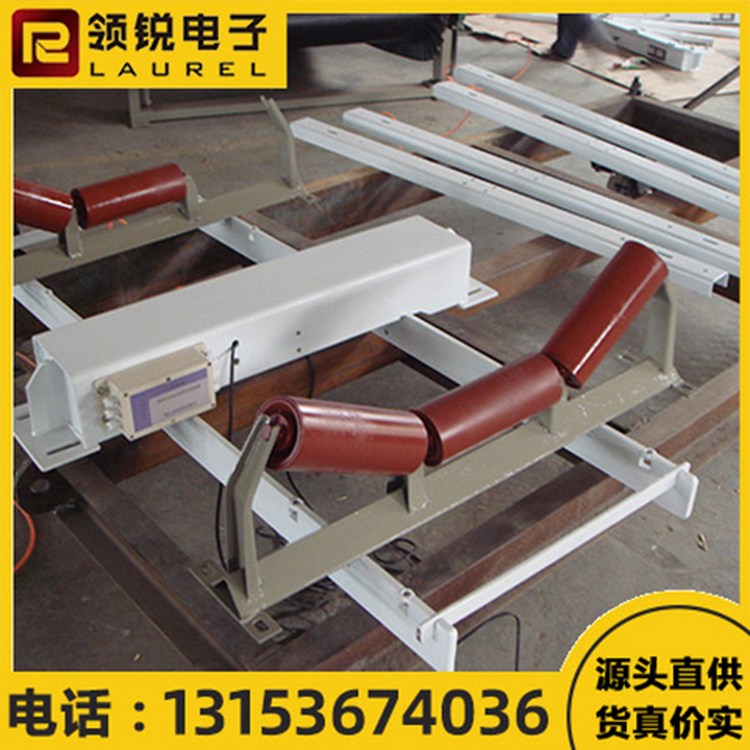 调速皮带秤 可进行调控 操作简单方便 领锐 精度高