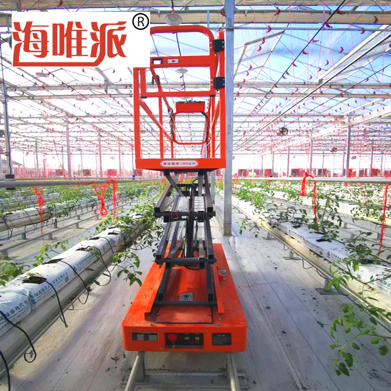 Intelligent Greenhouse Vegetable Greenhouse Soilless Cultivation 3.9m Electric Lifting Track Picking Car Haiweipai