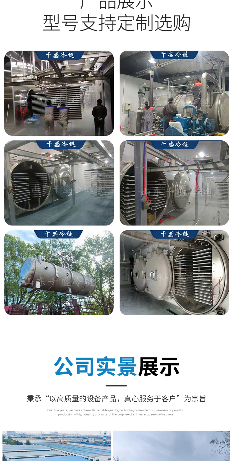 Strawberry vacuum freeze-drying machine, fruit drying freeze-drying equipment, vegetable freezing equipment, Qiansheng cold chain