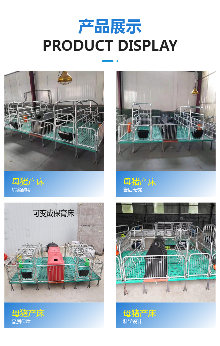 Automated pig farming equipment Hot dip galvanized twin sow production bed material thickened Wangzhu Animal Husbandry