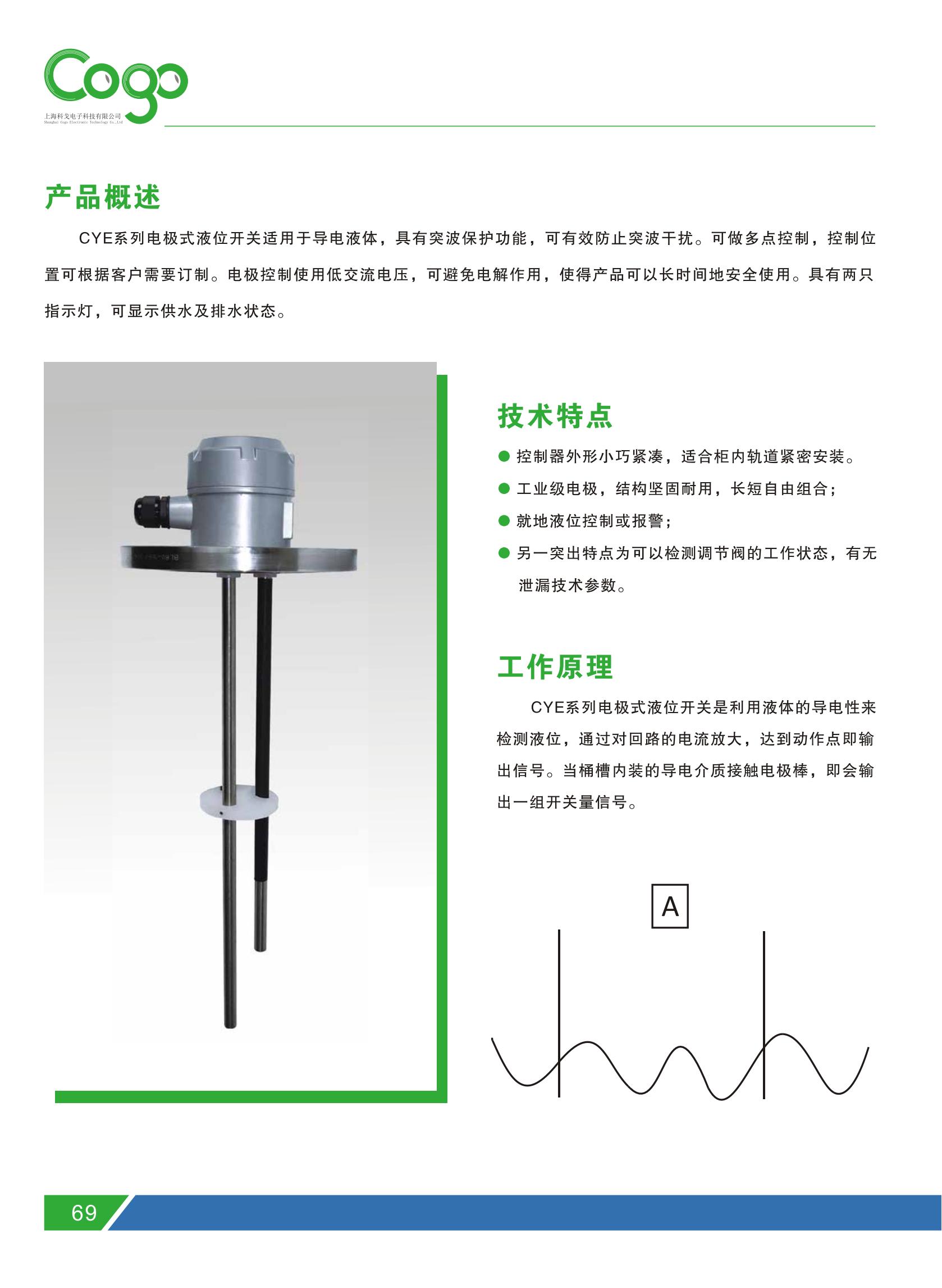 COGO Electronic Technology CYE18 Electrode Level Switch Industrial Grade Electrode Long Short Free Combination