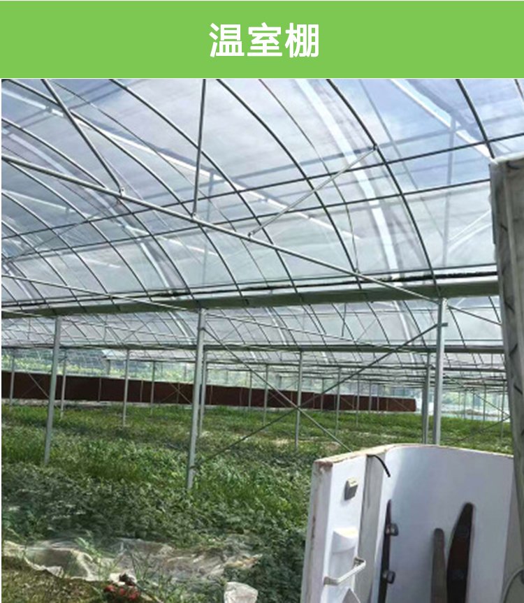 National standard galvanized pipe greenhouse skeleton specifications can be customized for professional construction of circular arch agricultural greenhouse greenhouses